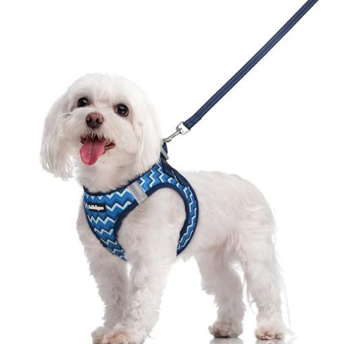 Dog Harness Medium Sized and Leash Set (Blue Zigzag / M (chest: 16 - 18.5"))