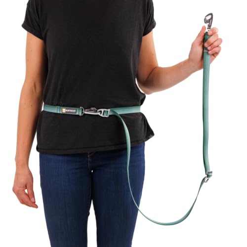 Switchbak Dog Leash (River Rock Green / One Size)