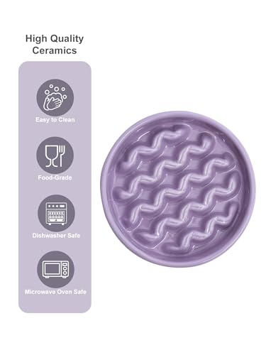 Ceramic Slow Feeder Dog Bowl (Macroni-Purple / Medium)