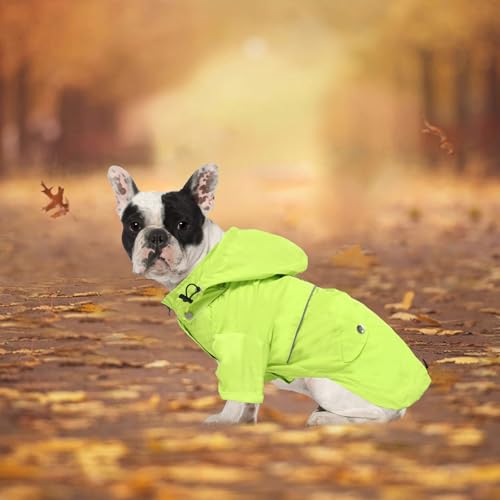 Dog Zip Up Raincoat with Reflective Buttons (XX-Large / Light Green)