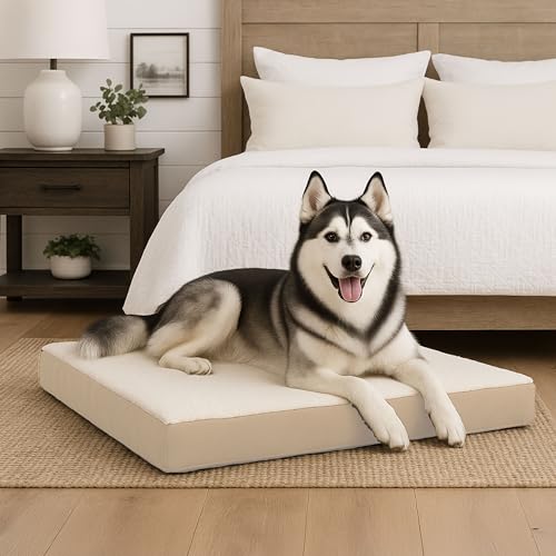 Orthopedic Dog Bed (Tan / X-Large)