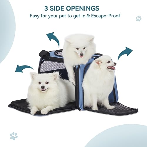 Dog Carrier for Small Dogs (Large / Blue)