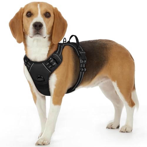 Dog Harness for Small Dogs (Small / Black)
