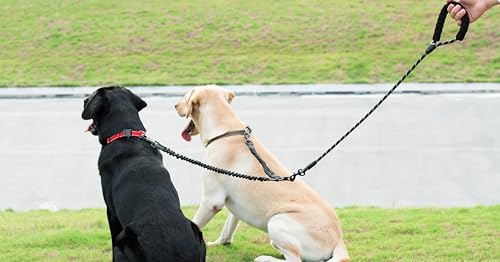 Double Dog Leash (Black / Medium)