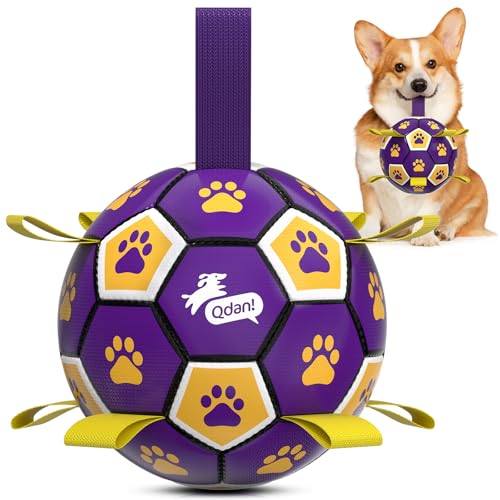 Dog Balls Toys (Purple Yellow / 6 Inch)