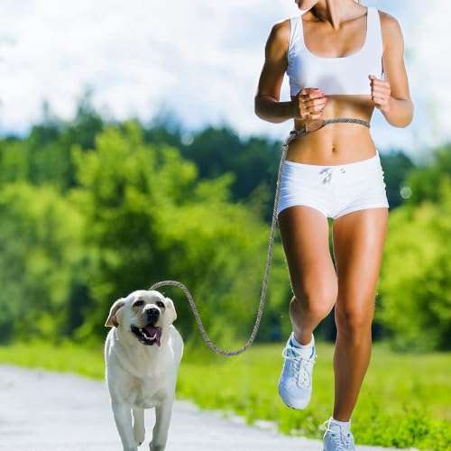Hands Free Dog Leash (White / 7FT Hands Free)