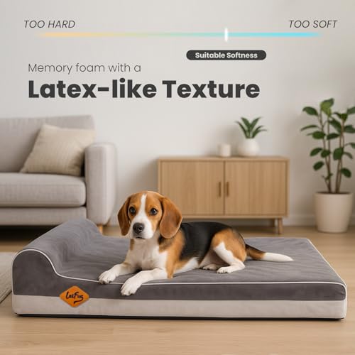 Orthopedic Dog Beds for Large Dogs (34.0"L x 22.0"W x 5.5"Th / Grey)