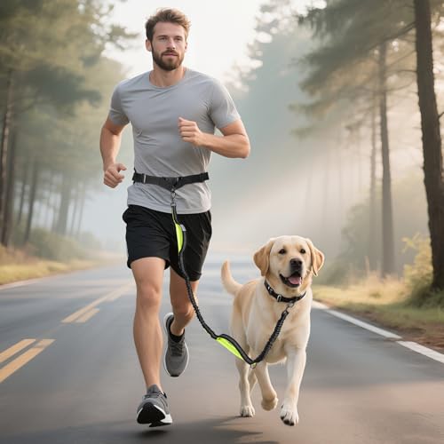 Hands Free Dog Leash for Medium Large Dogs (for One Dog / Black/Green)