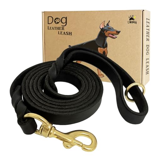 Leather Dog Leash 5ft x 3 (5 ft x 3/4 inch / Black)