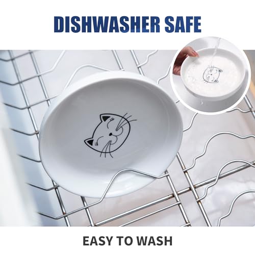 Shallow Wide Elevated Cat Bowls Whisker Fatigue (Blue)