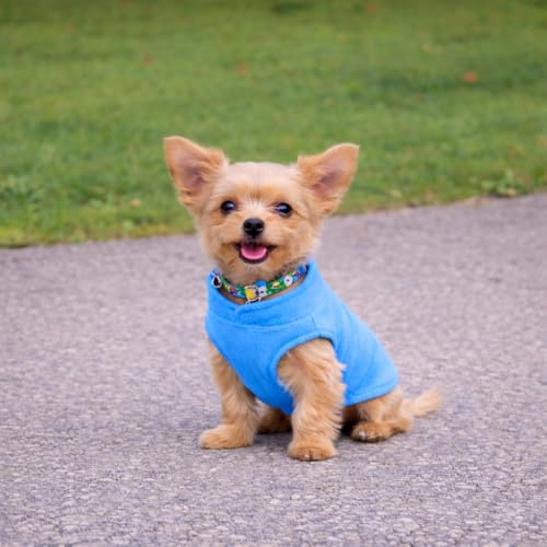 Dog Fleece Vest Sweater with Leash Ring (XS (2-4lbs) / Blue)