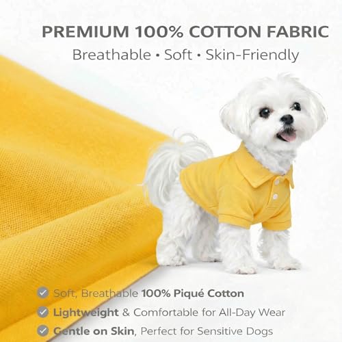 Basic Dog Polo Shirts Premium Cotton (S (-9lbs) / Yellow)