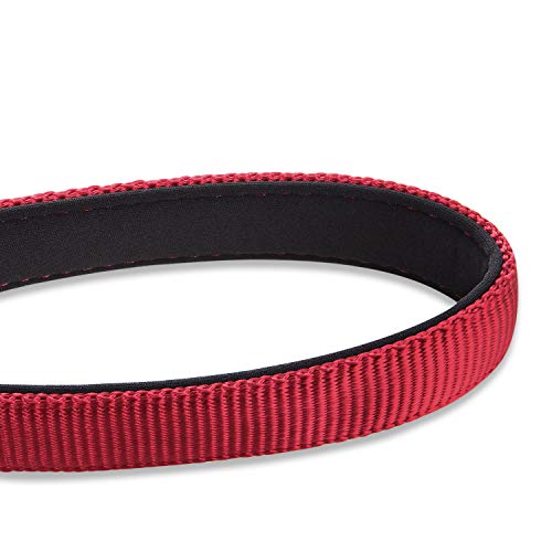 Short Dog Leash 24" (Red / 24 Inches)