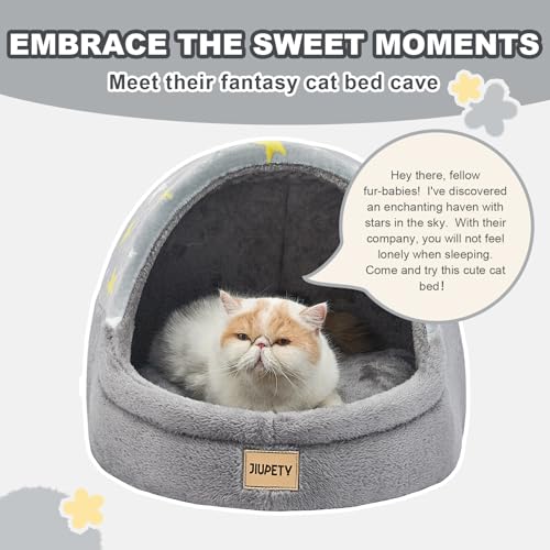 Cute Cat Beds for Indoor Cats (Large / Gray)