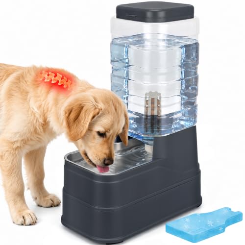 2.2 Gallon Pet Automatic Dog Water Dispenser Cat Gravity Waterer Feeder with Stainless Steel Bowl 8L Large Capacity Puppy Feeding Raised Bowls with Filter (Charcoal Gray / 8L(2.2 Gallon))