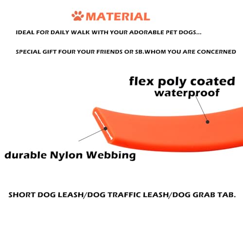 Short Dog Leash (10 inch / Hot Pink & Sky Blue)