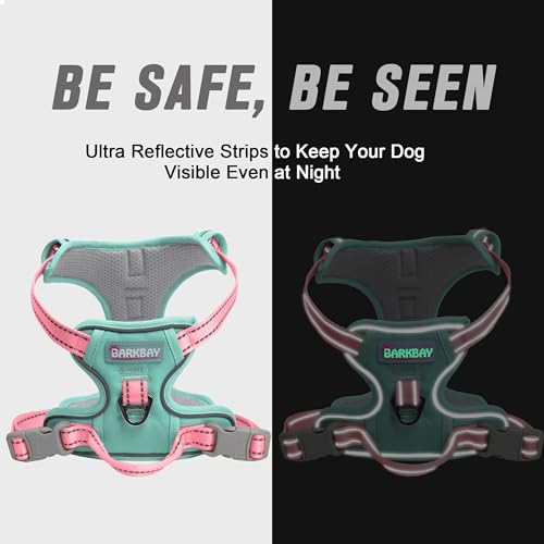 Dog Harness No Pull for Medium Sized Dog Front Back Clips (Medium(Chest:22.5-28") / Cool Mint & Baby Pink)