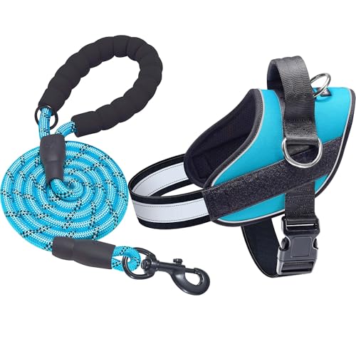 Essential Dog Harness (XS / Blue)