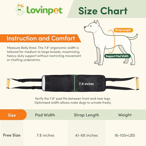 Dog Lift Harness Rear Support Sling (White)