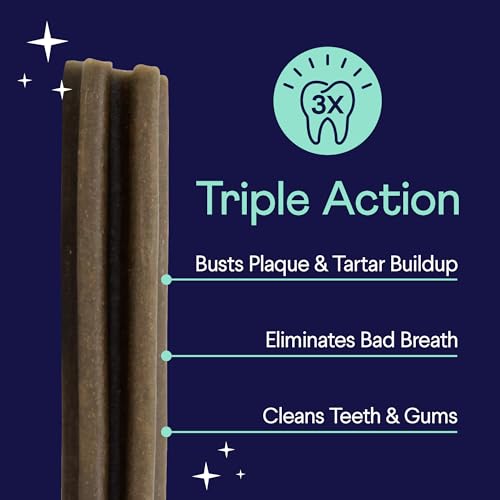 Plaque Patrol Dental Chews (10 Ounce (Pack of 1))