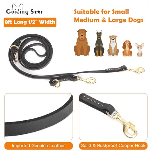 Leather Dog Leash 8ft (Black / 8ft*5/8inch)