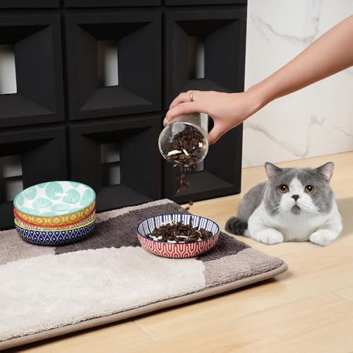 5.6 Inch Ceramic Cat Bowls (5.6 Inch, Set of 6 / Assorted Colors)