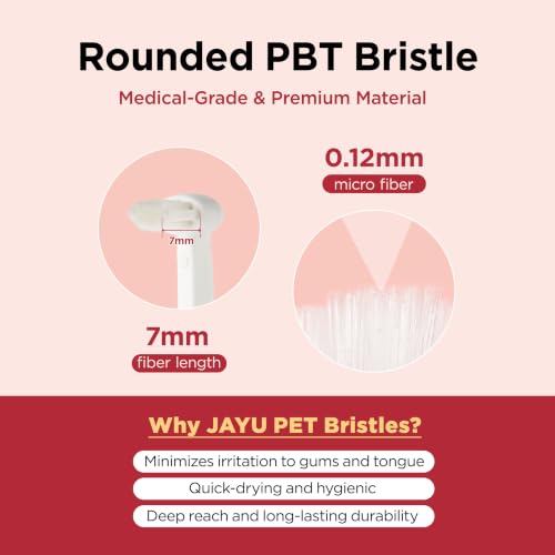 Dental Care Brush (Firm Bristles / 1 Count (Pack of 3))