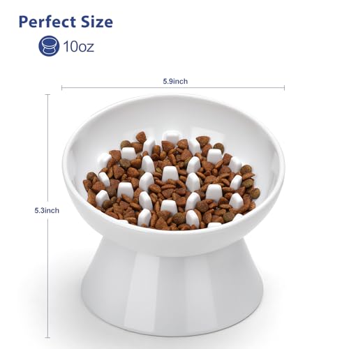 Ceramic Slow Feeder Cat Bowl (White-Honeycomb / 2 Cups)