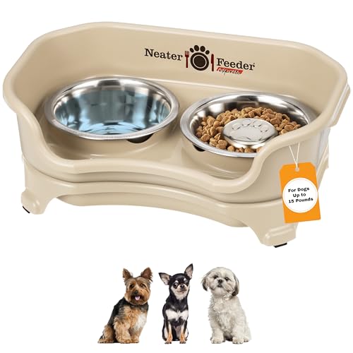 Express Mess Proof Dog Bowls Elevated for Small Breed (Small w/ Metal Slow Feed Bowl / Almond)