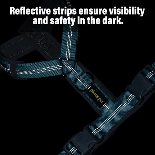 No Pull Dog Harness (L / Cyan)