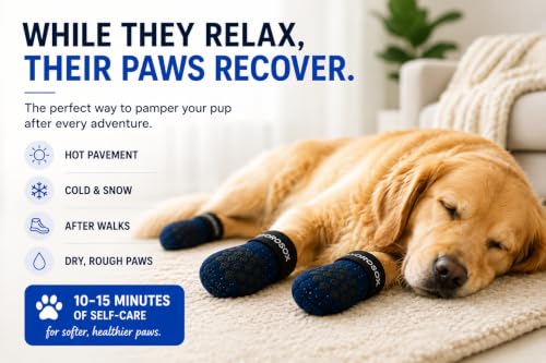Dog Paw Spa Kit (Large)