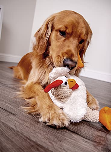 Checkers Fat Rooster Squeaky Plush Dog Toy