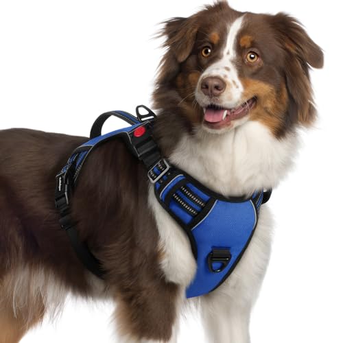Large Dog Harness (X-Large / Blue)