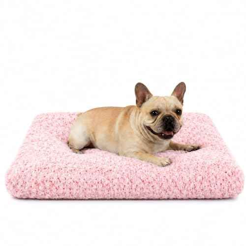 Dog Bed Medium Size (Pink / 23"L x 18"W x 3"Th)