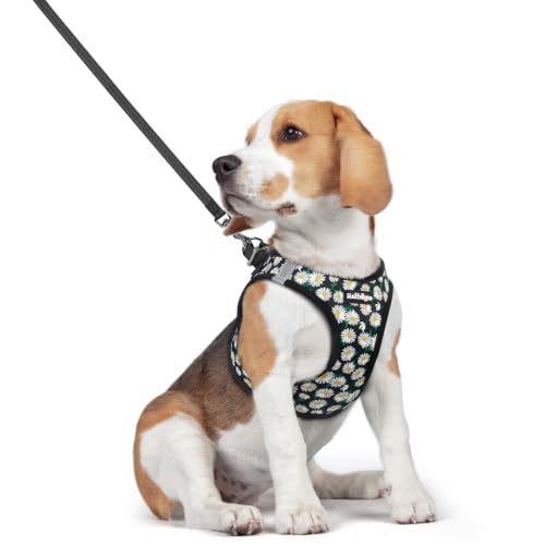 Dog Harness Medium Sized and Leash Set (Midnight Daisy / L (chest: 18.2 - 20.5"))