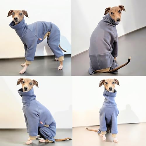 D Doggy Star Italian Greyhound Clothes Stretchy Fleeced Lining Simple Onesie Whippet for Dog Coat (L / Simple Blue)