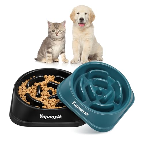 2 Pack Slow Feeder Dog Bowls for Small Dogs (Small / Black and Navy Blue)