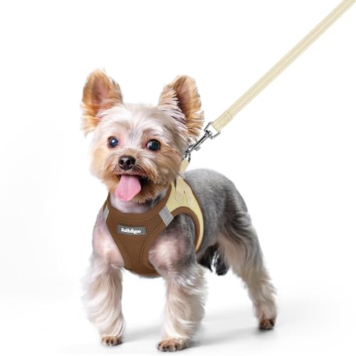 Dog Harness Small Sized and Leash Set (Brown & Beige / Xs (chest: 13.3 - 15.5"))