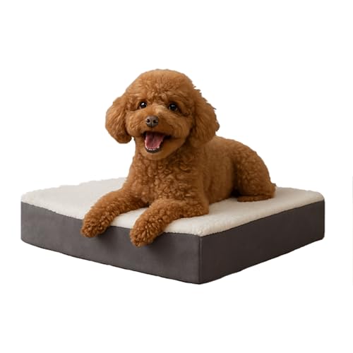 Orthopedic Dog Bed (Gray / Small)