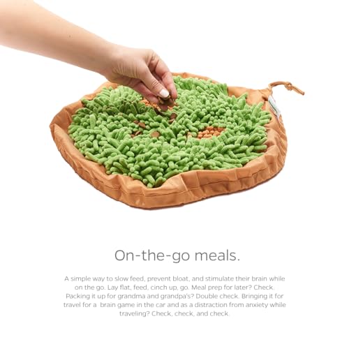 Forager Snuffle MAT and Slow Feeder Dog Bowl