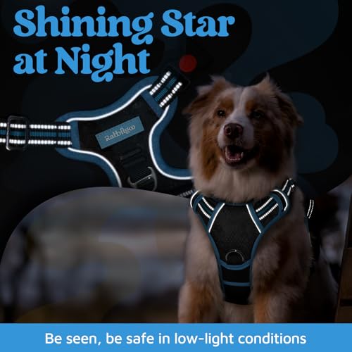 Dog Harness Medium Sized (Black & Blue / Medium)