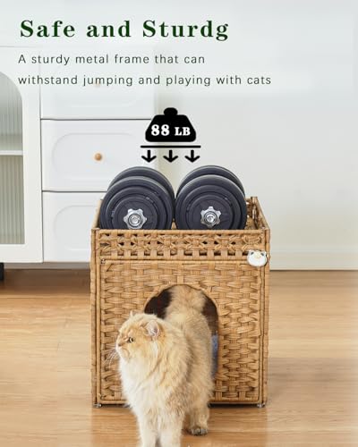 Cat Beds for Indoor Cats Extra Large Double Cat Cave (Natural / Rectangle-XL)