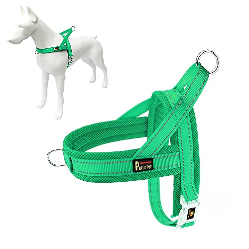 No Pull Dog Harness for Large Dogs (L: chest 25.2"-32.3" / Green)