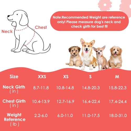 No Pull Dog Harness with Leash for Small Medium Dogs Black M (Medium(18-31lb) / Black Daisy)