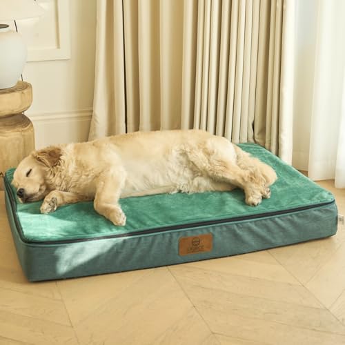 Orthopedic Memory Foam XXL Dog Bed (48.0"L x 30.0"W x 6.0"Th / Forest Green)