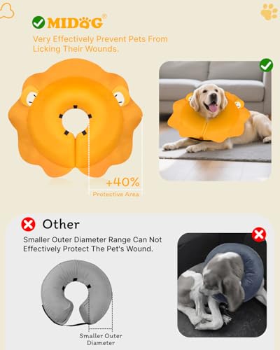 Inflatable Dog Cone (Lion / L+(11"-14"))