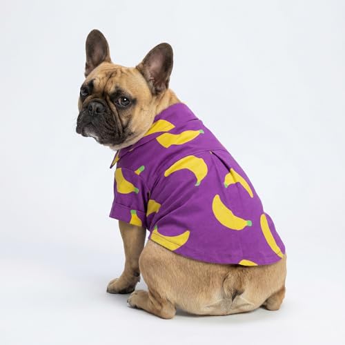 Banana Dog Shirt (X-Small / Banana)