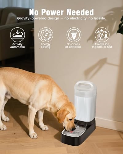 2.4 Gallon Automatic Dog Water Bowl Dispenser with Handle