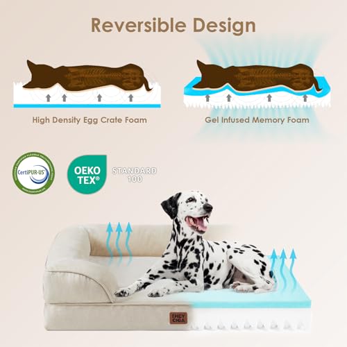 Orthopedic Dog Beds for Large Dogs (Beige / 41.0"l X 27.0"w X 6.5"th)