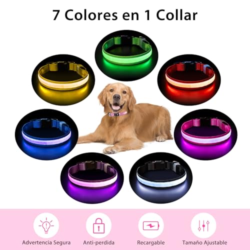 Light up Dog Collar (Pink / S(11 inch-15.7 inch))